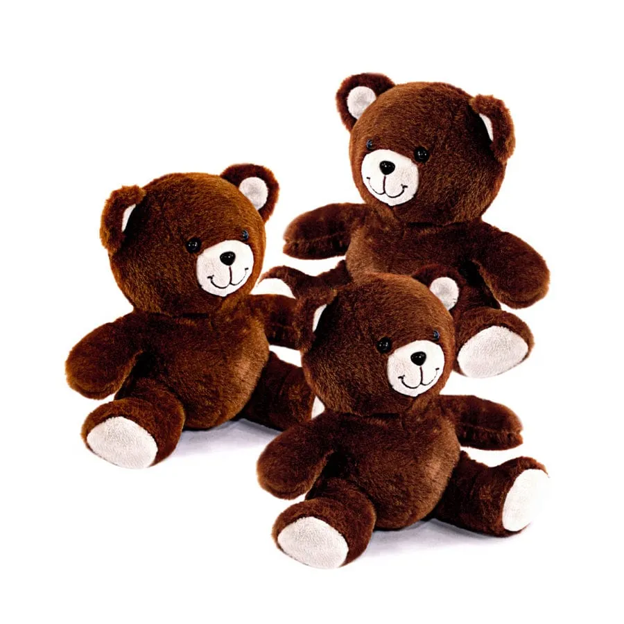 3 Plush Teddy Bears With Option to Personalize