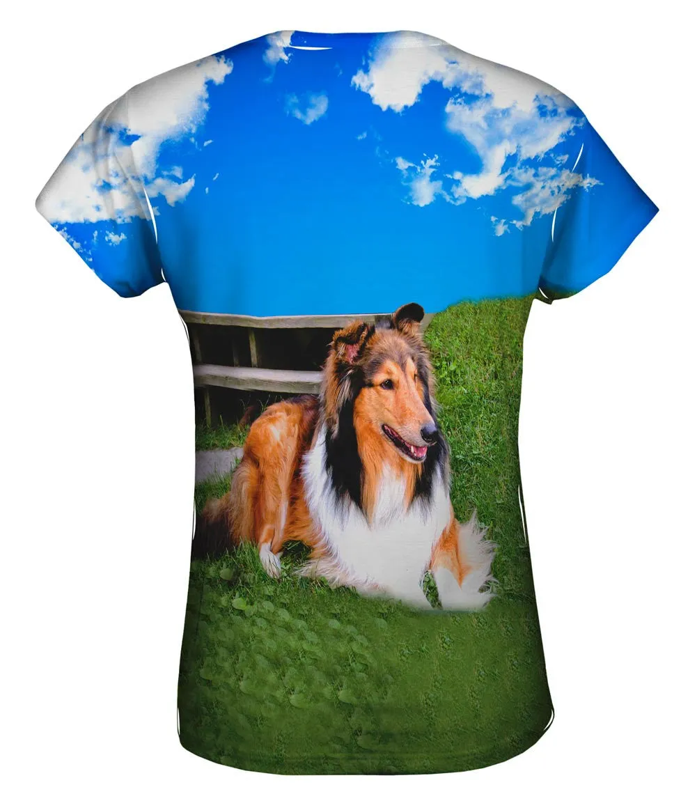 Blue Sky Collie