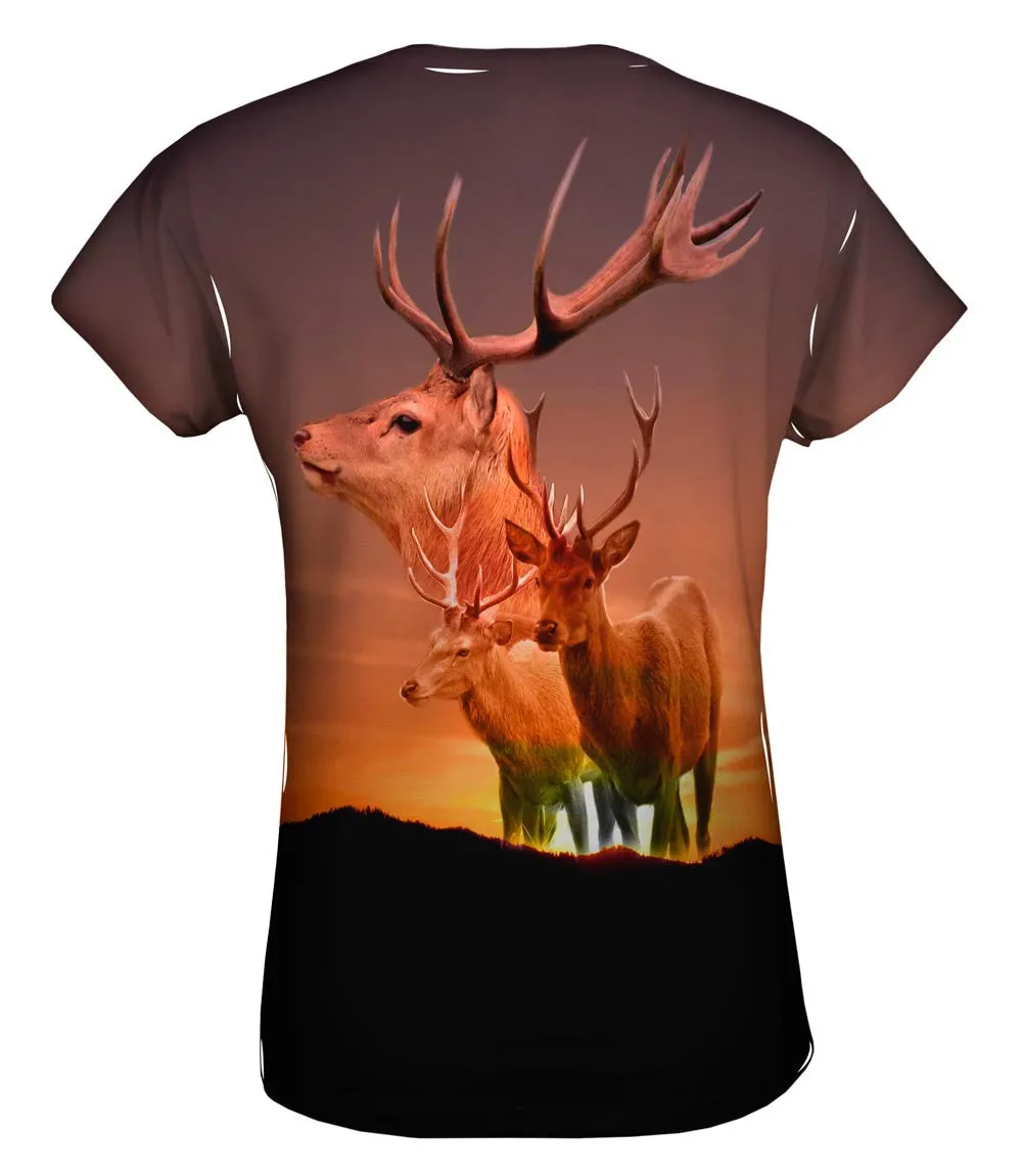 Deer Sunset