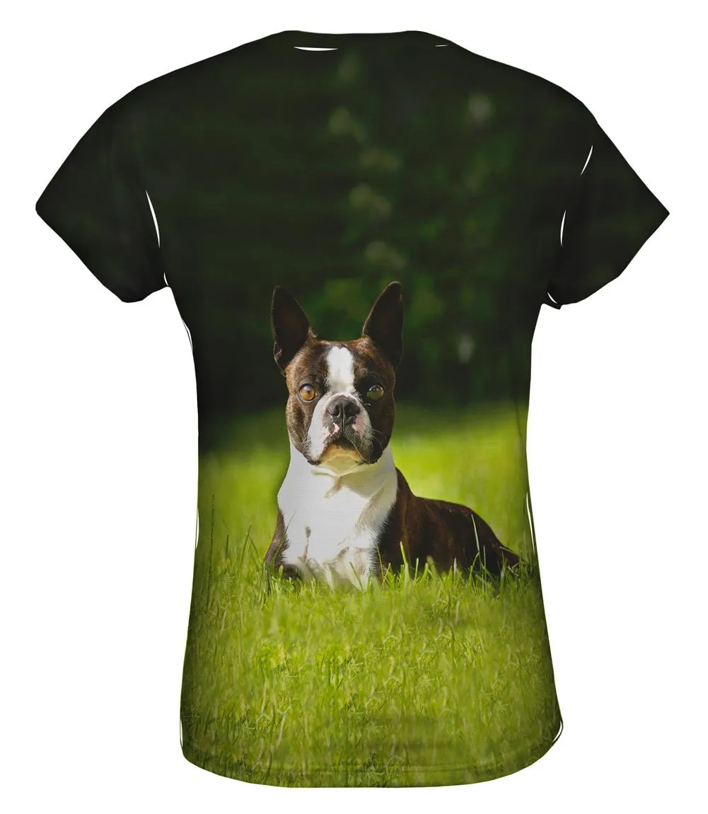 Giddy Boston Terrier