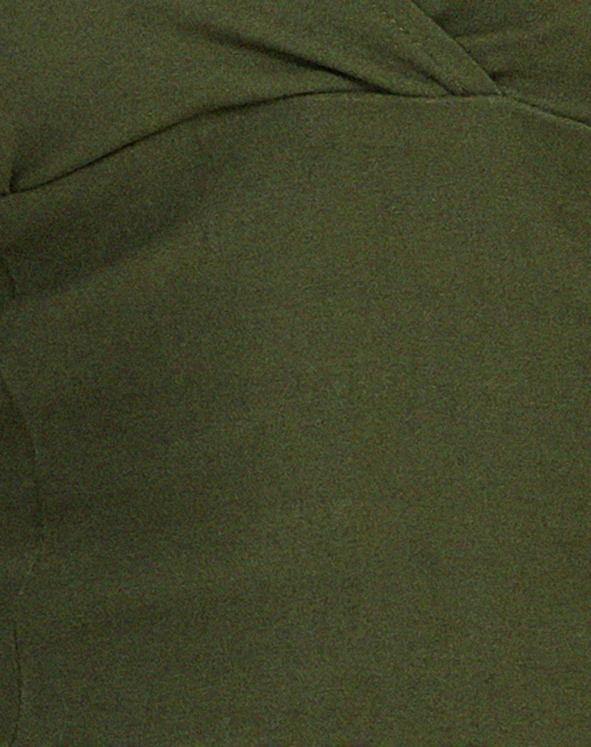 Hajari Top in Olive