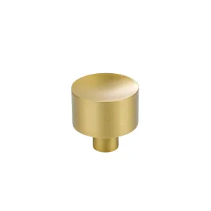 Klein Matte Solid Brass Cabinet Knob